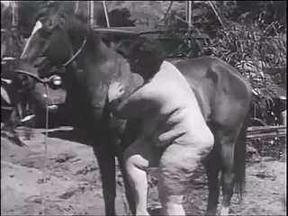 포르노 배우 온라인 bbw hd 섹스,그 옷을 벗은 모두고 시작